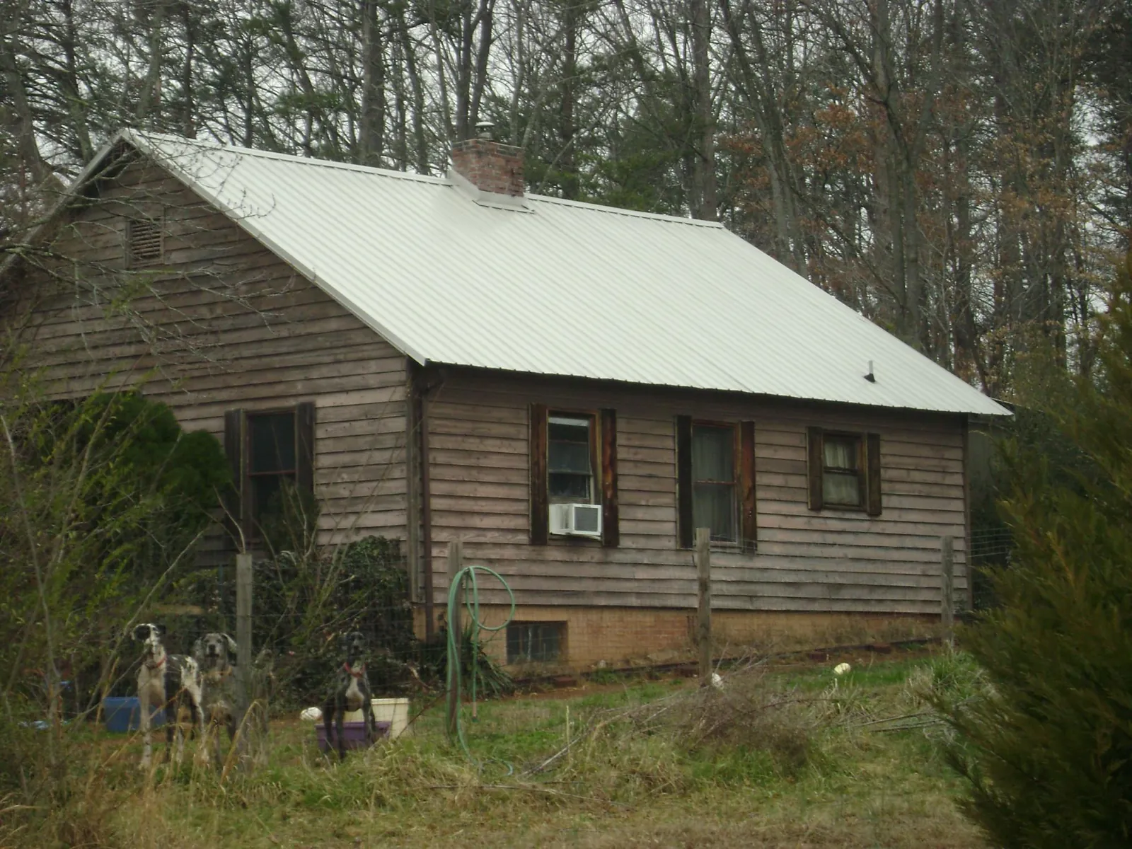 White metal roof on an old wood sided farmhouse, from a Asphalt Shingle Roof Repair job in Davison